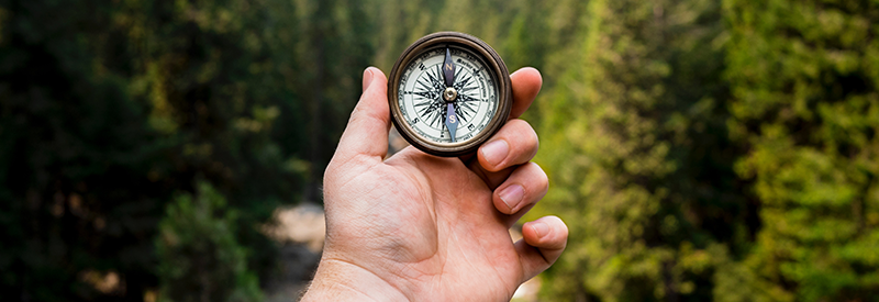 Jamie Street 94hlr Qxo8 Unsplash Copy